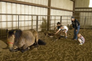 Grandkidsandnewfoal