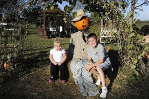 pumpkinpatch    